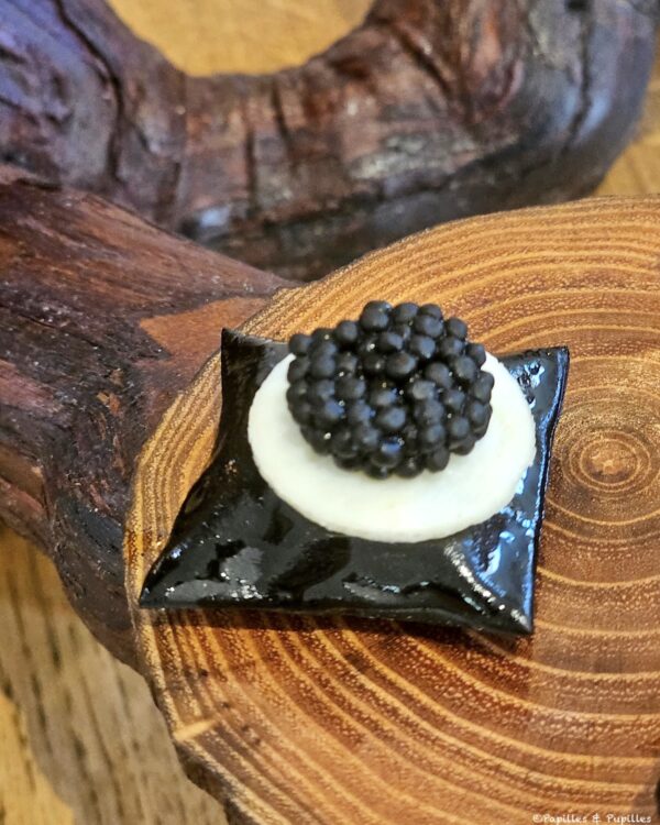 Conque encre de seiche