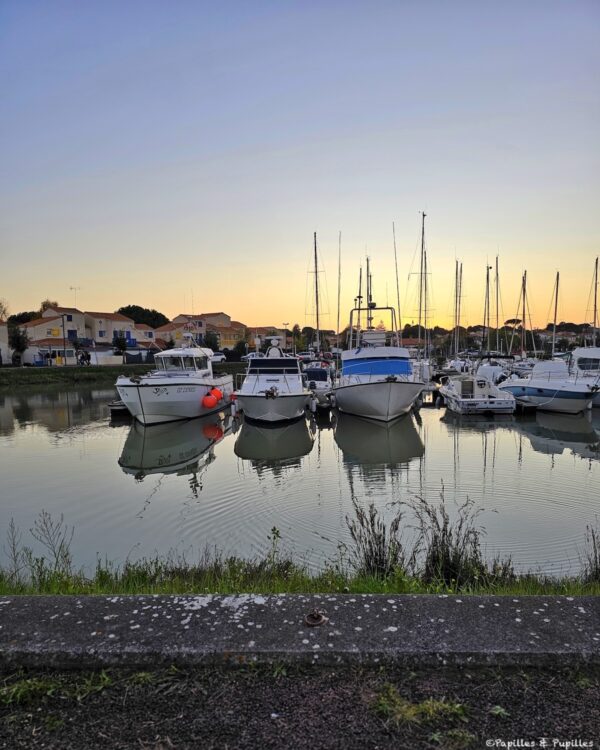 Le Port, Meschers sur GIronde