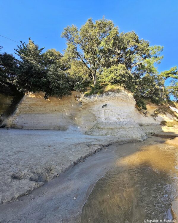 Plage des Vergnes, Meschers sur Gironde