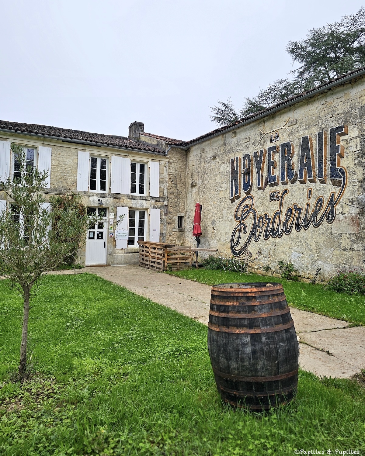 Noyeraie des Borderies