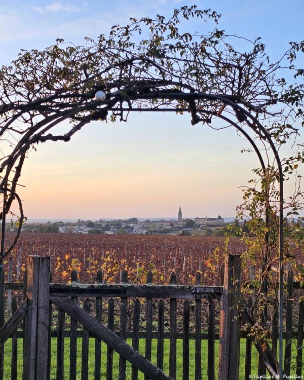 Vue sur Saint Emilion