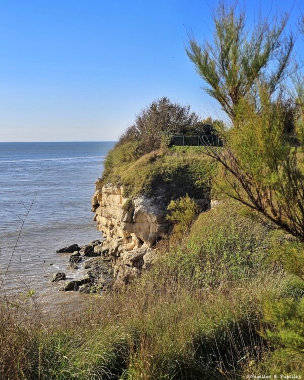 Parc de l'Estuaire, Saint Georges de Didonne
