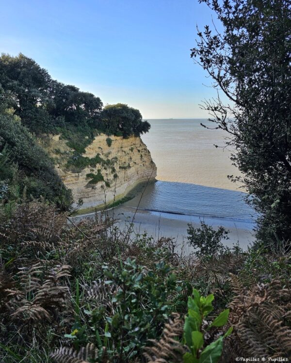 Parc de l'Estuaire, Saint Georges de Didonne
