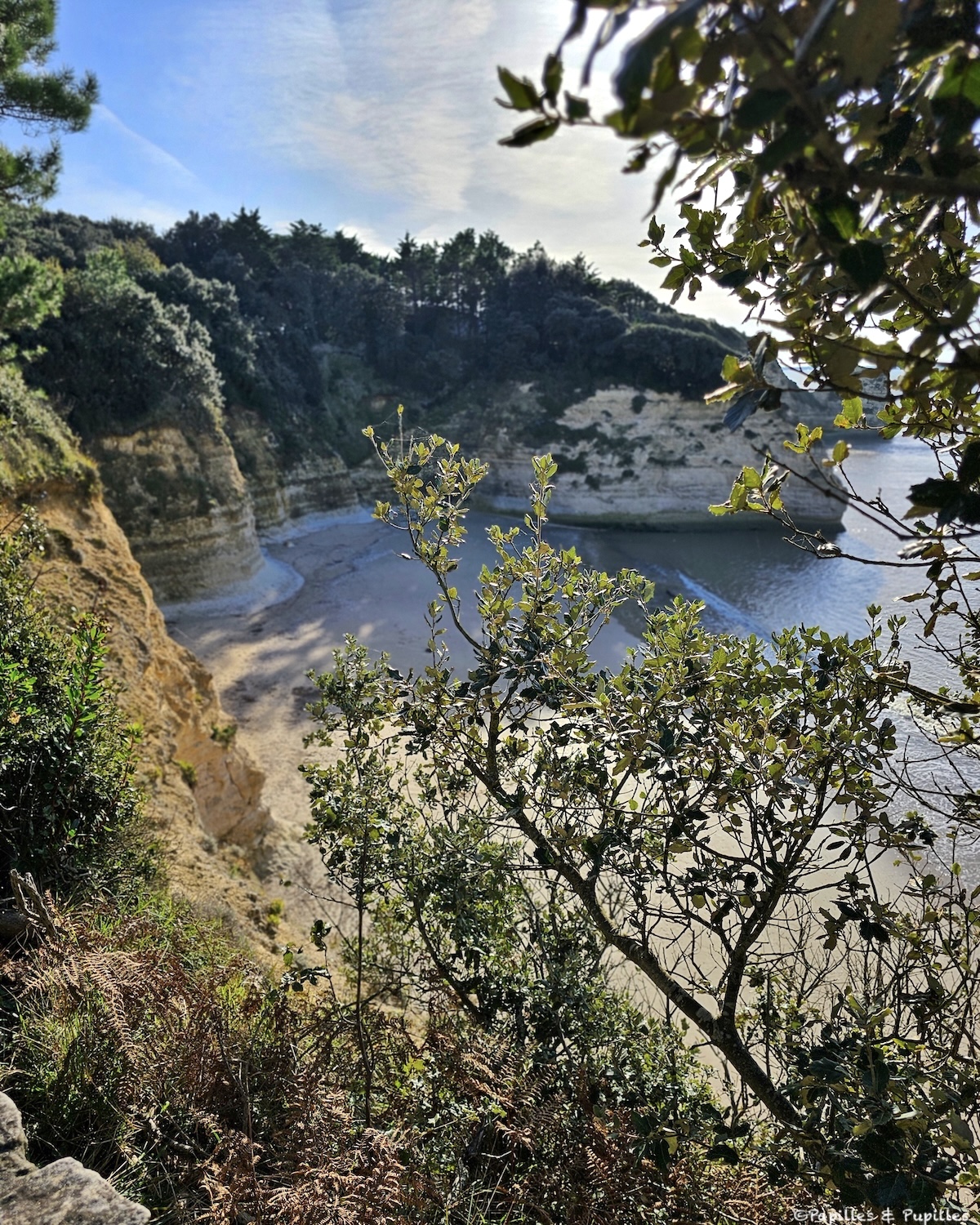 Parc de l'Estuaire, Saint Georges de Didonne