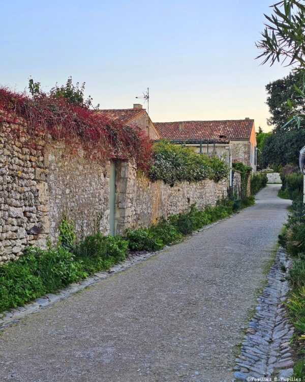 Ruelle, Talmont sur Gironde