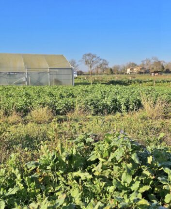Ferme 1544