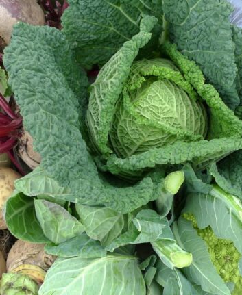 Légumes d'hiver ©Nick Saltmarsh CC BY 2.0 HD