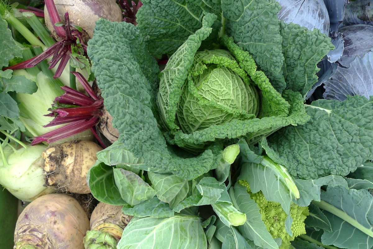 Légumes d'hiver ©Nick Saltmarsh CC BY 2.0 HD