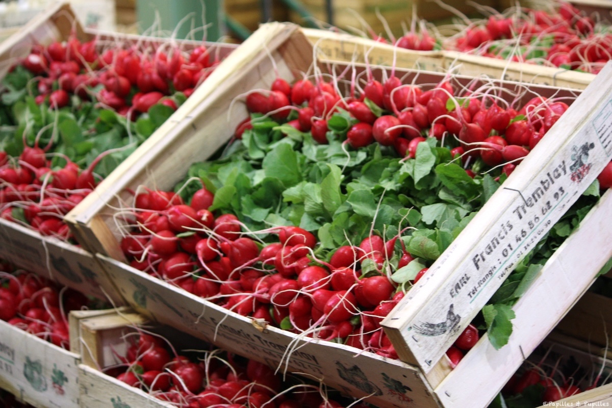 Radis roses de printemps, croquants et prêts à glisser dans une salade composée