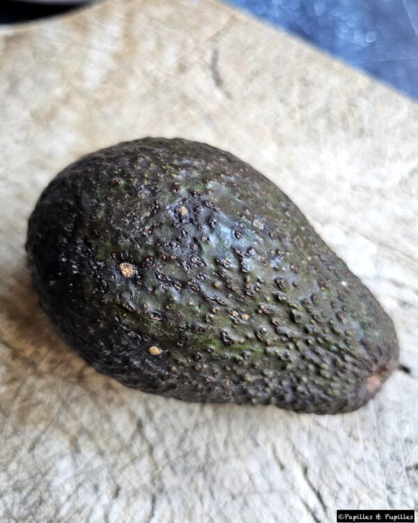 Avocat