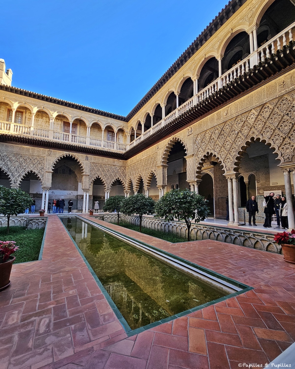 Cour des demoiselles, Séville