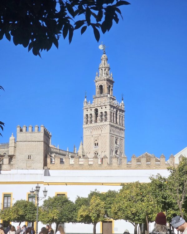 Giralda