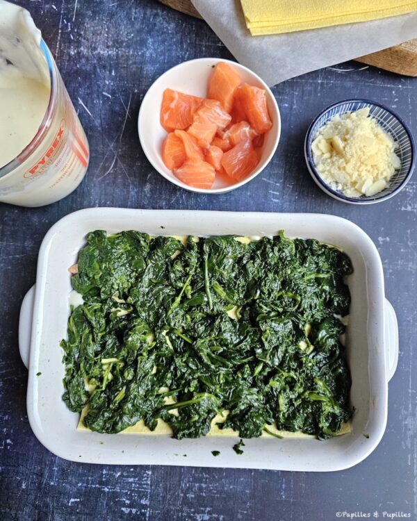 Le reste d'épinards