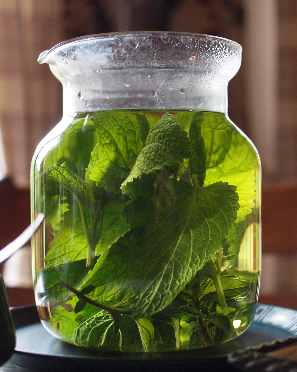 Infusion à la mélisse