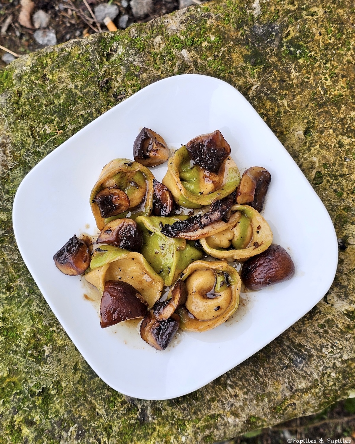 Tortellini farci à la ricotta, noix et citron confit