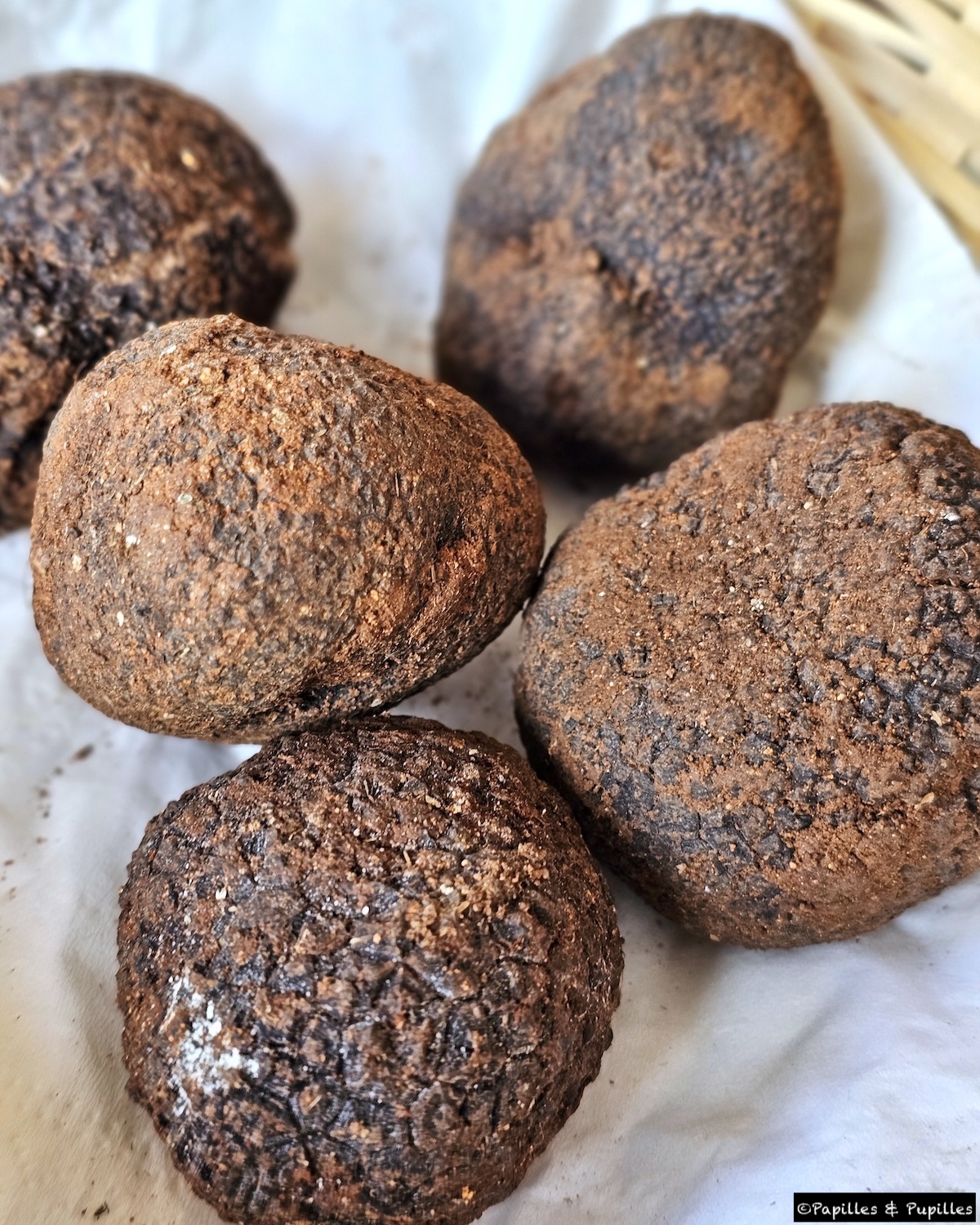 Truffes noires de Soria