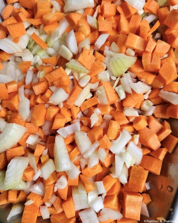 Dés de carottes d'oignons et d'ail