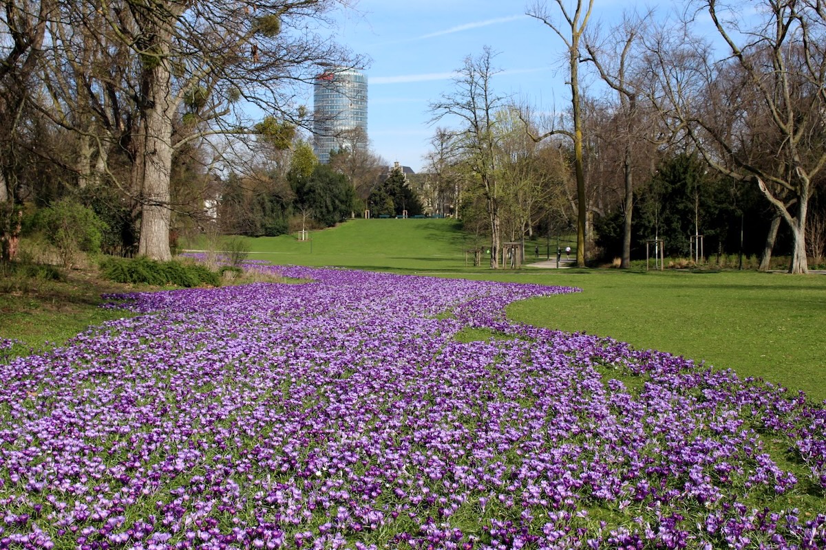 HofGarten Düsseldorf ©Michael CC BY-NC 2.0