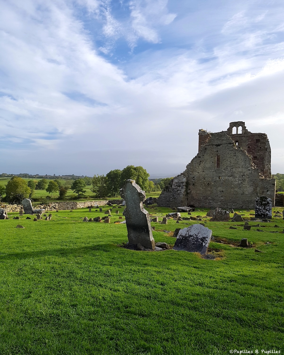 Irlande (vers Kilkenny)