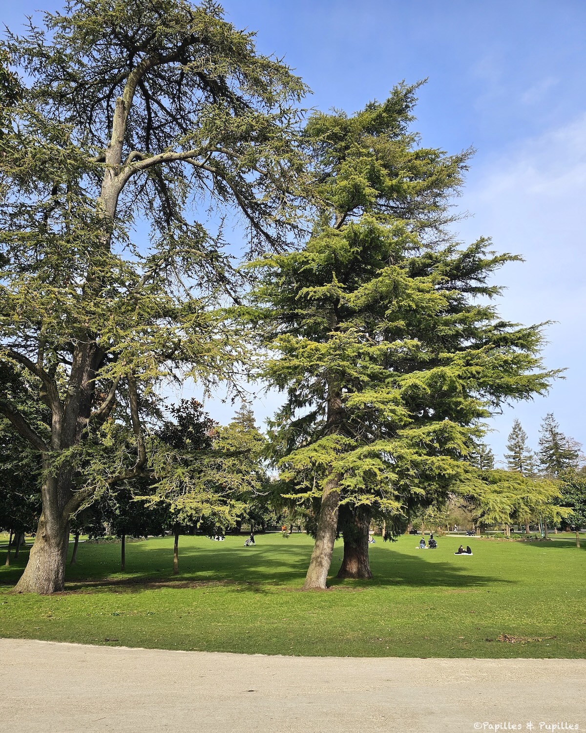Jardin Public Bordeaux