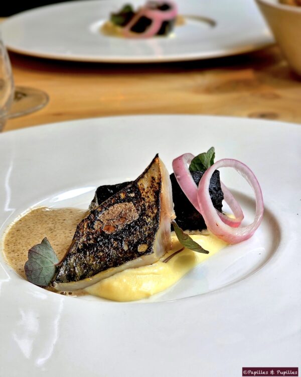 Maquereau brûlé, panais, ail confit, citron noir