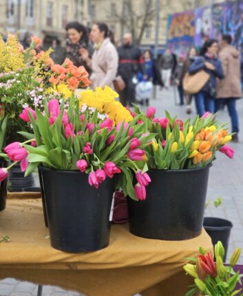 Marché Saint Michel, Bordeaux