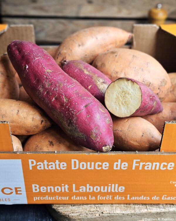 Patate douce 2 variétés