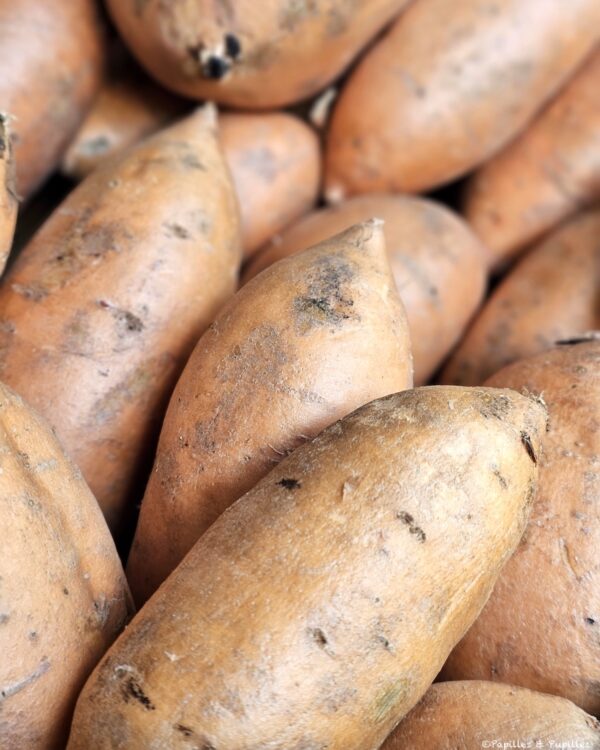 Patates douces
