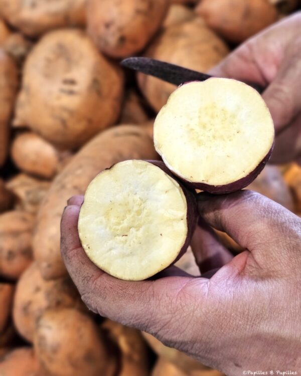 Patates douces chair blanche