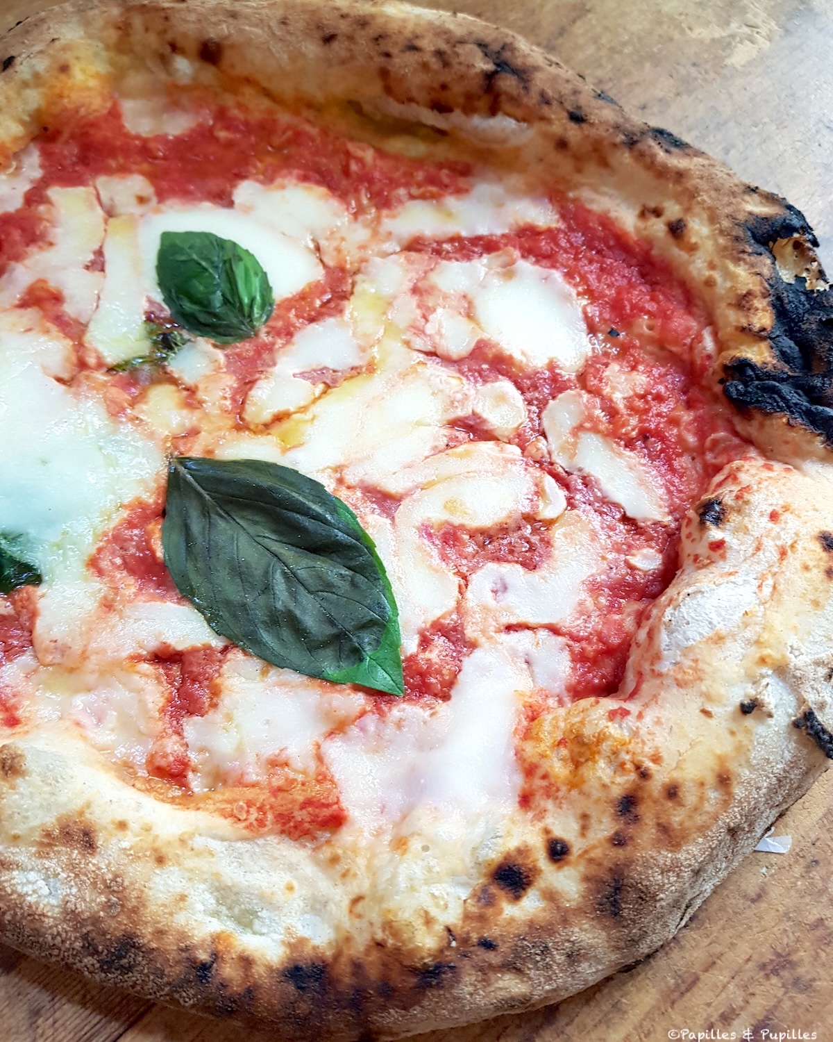 Pizza Margherita 