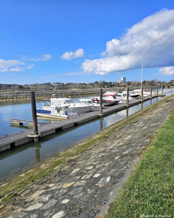 Port de la Teste de Buch