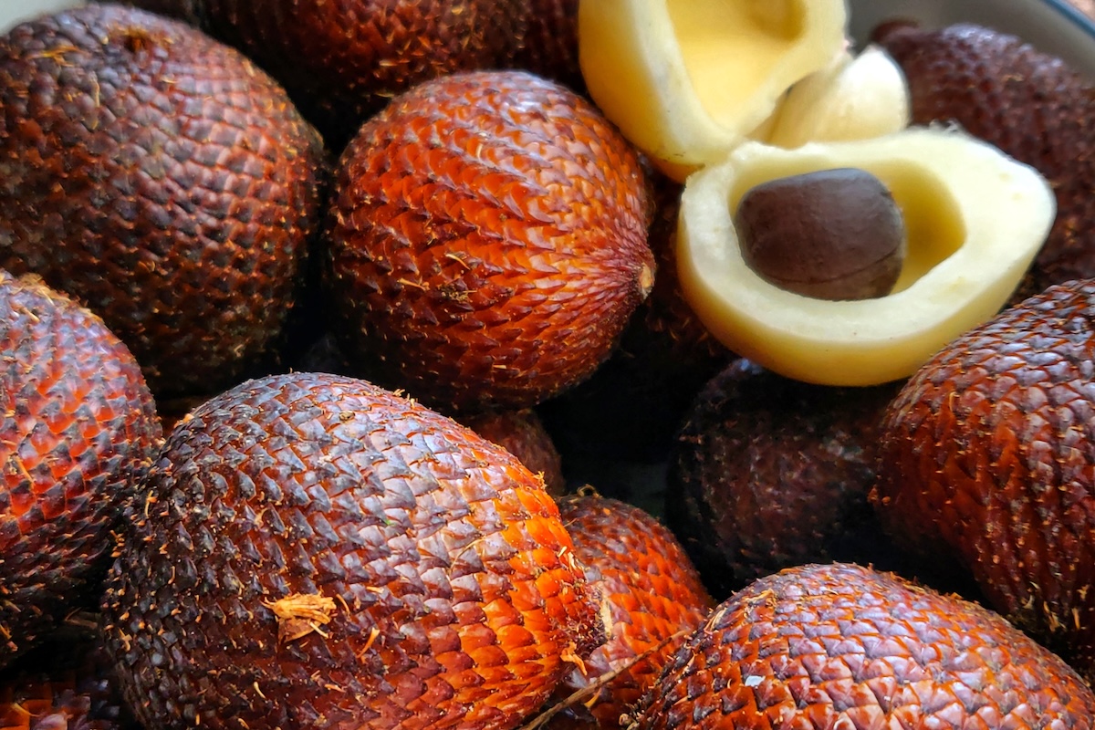 Salak ©Dennis Sylvester Hurd CC0 1.0