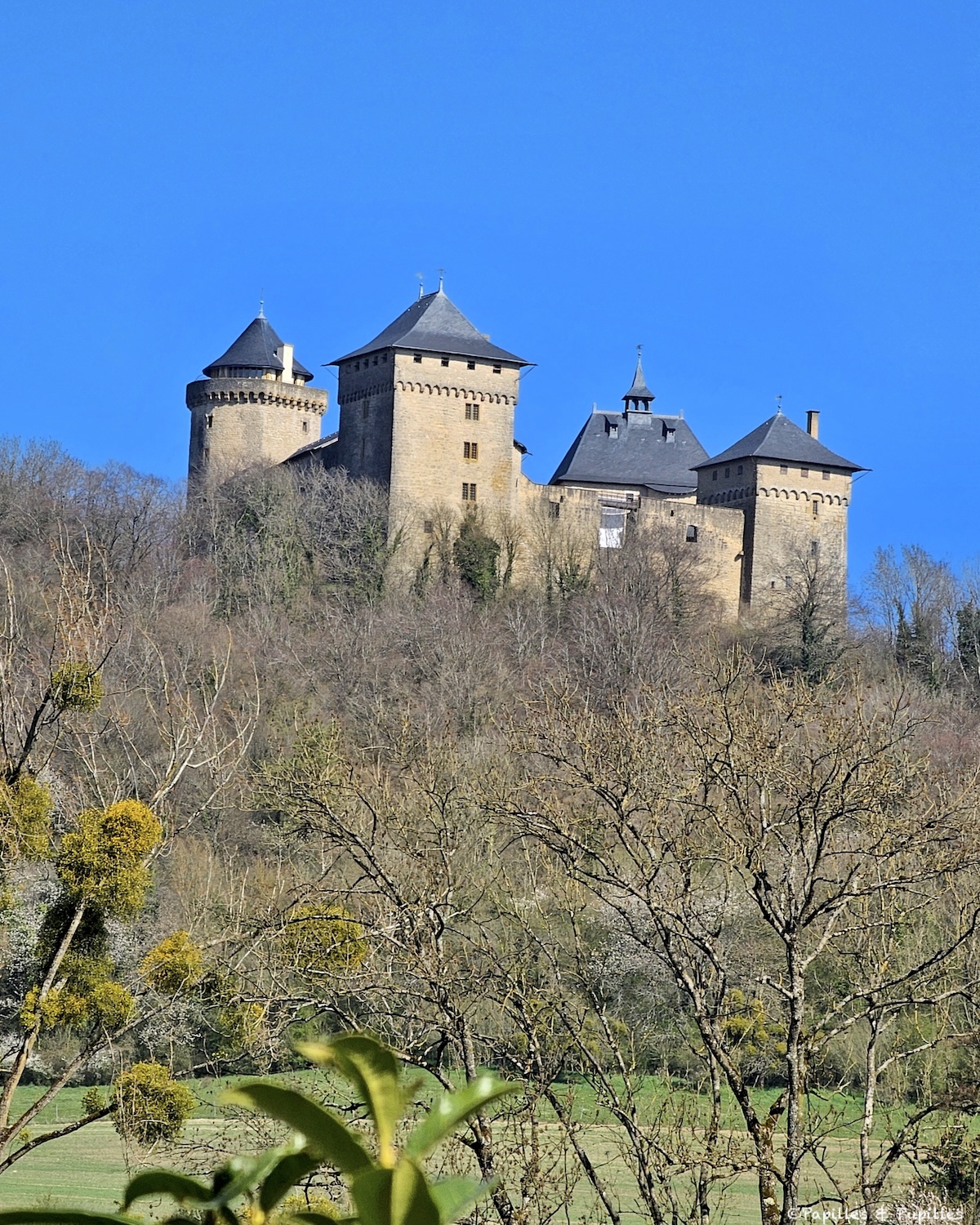 Château de Malbrouck