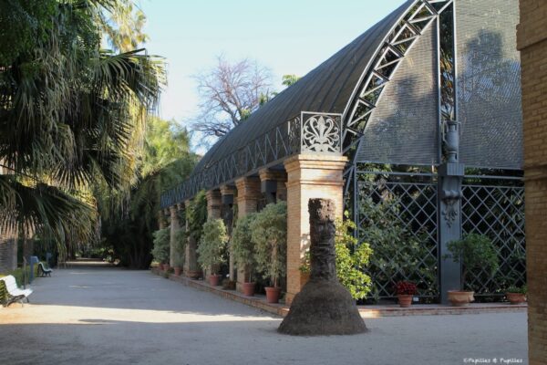 Jardin Botanique
