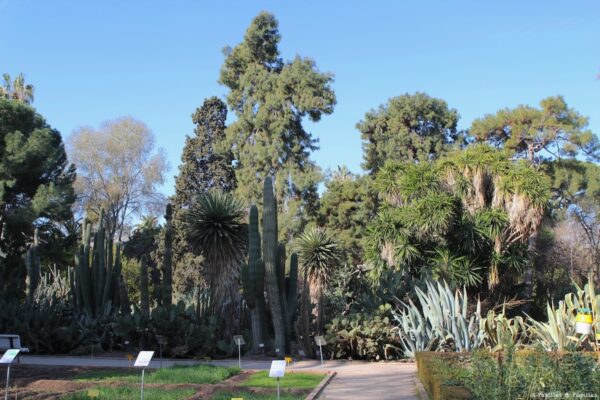 Jardin Botanique