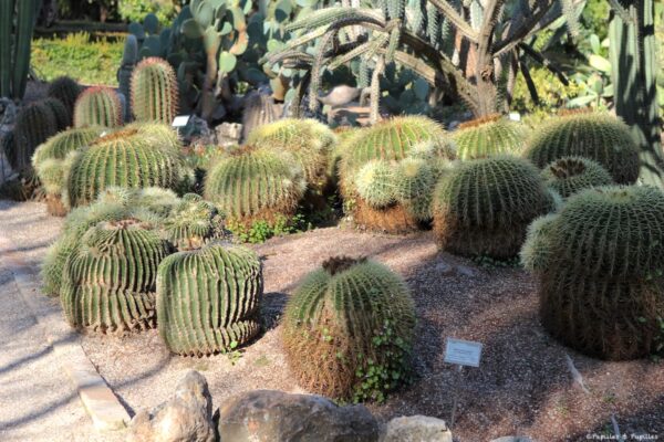 Jardin Botanique