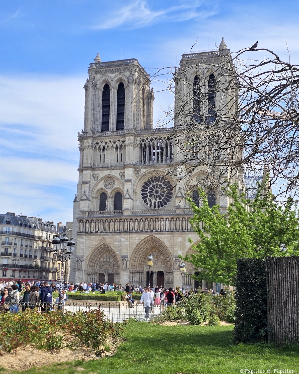 Notre Dame de Paris