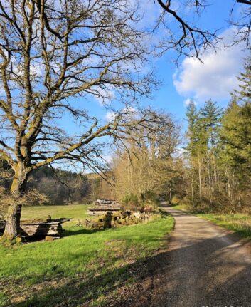 Chemin vers la Chapelle