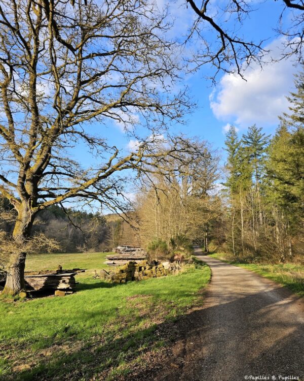 Chemin vers la Chapelle