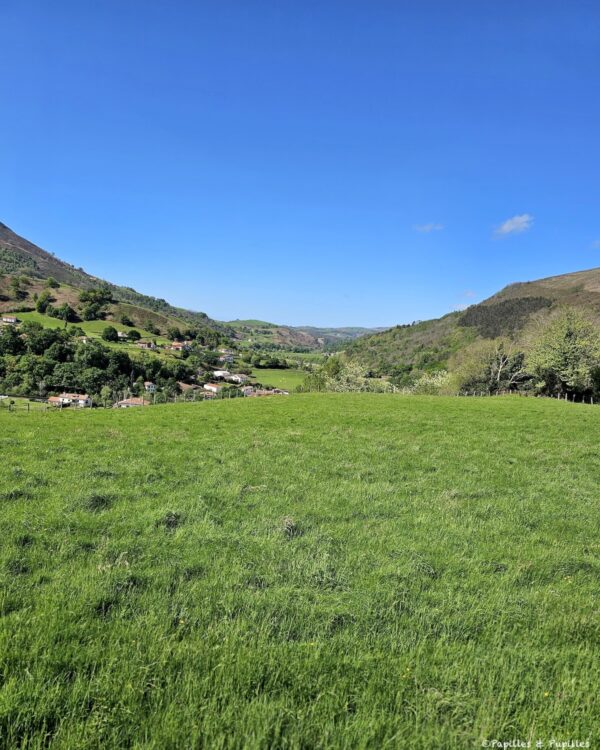 Bidarray, Pays Basque