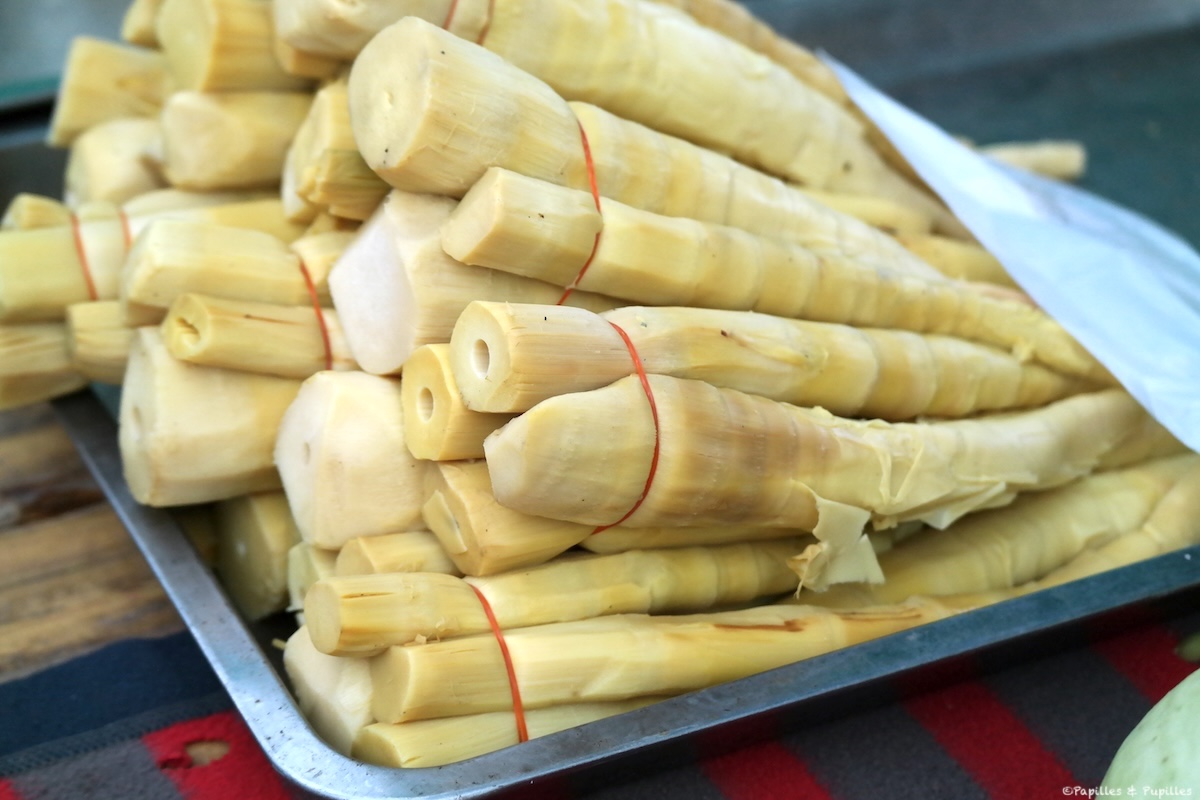 Pousses de bambou pelées