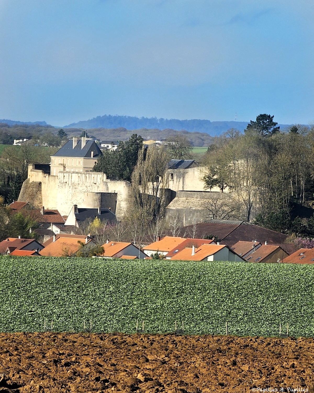 Rodemack vue de loin