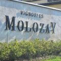 Vignobles Molozay