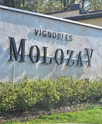 Vignobles Molozay