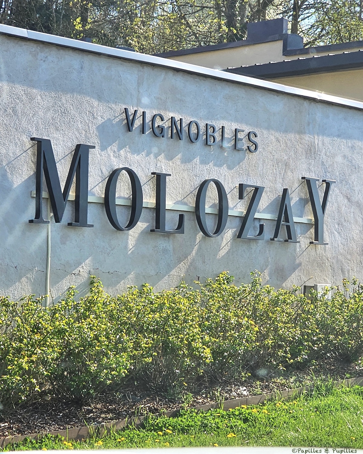 Vignobles Molozay