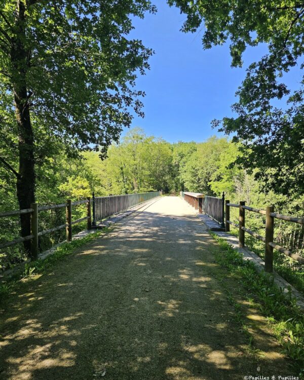 Belvédère sur le Ciron
