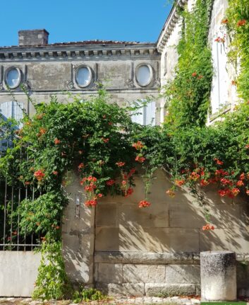 Cognac