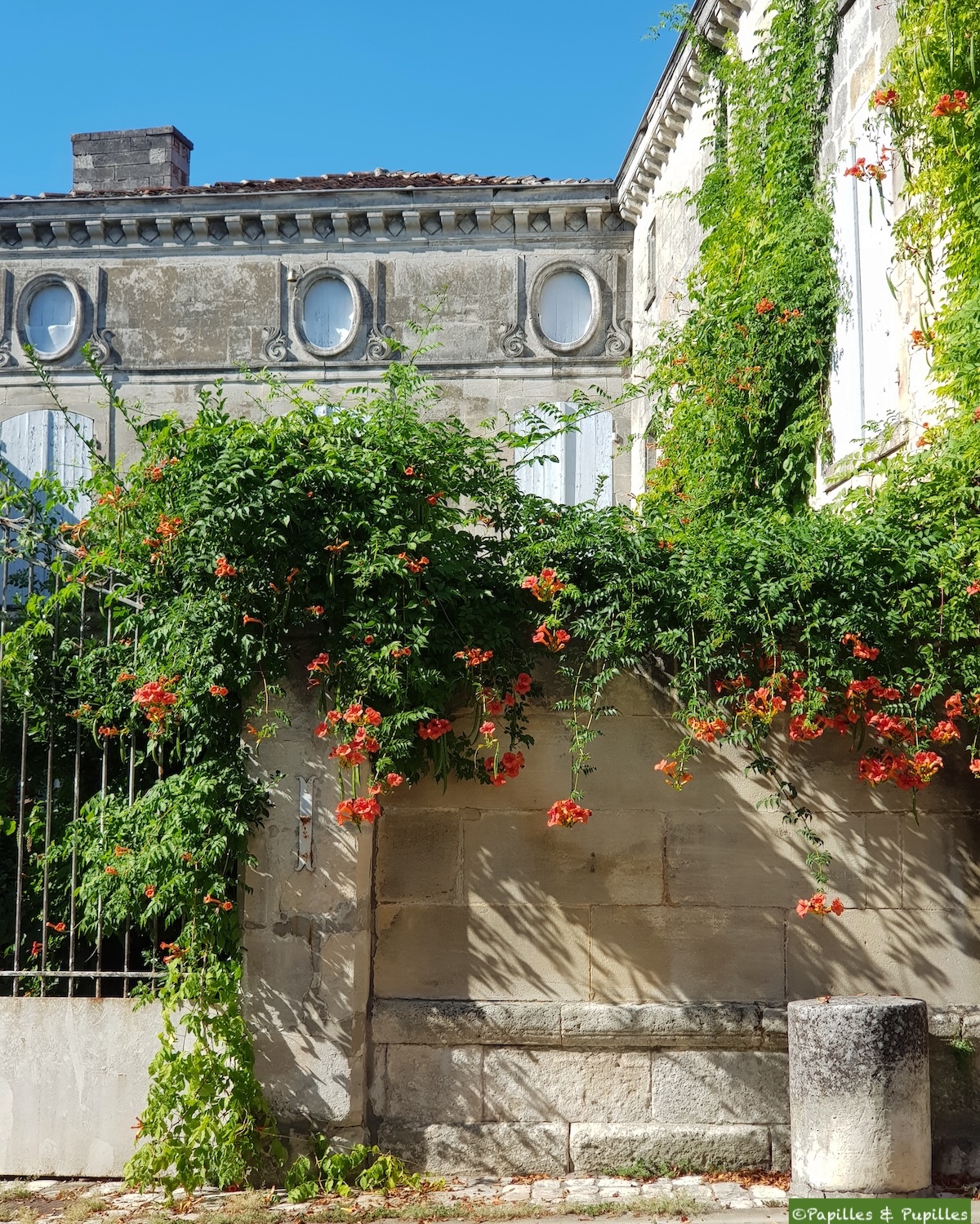 Cognac
