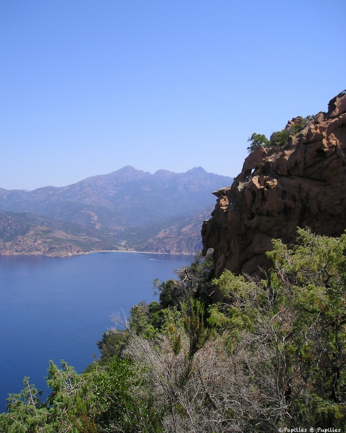 Corse