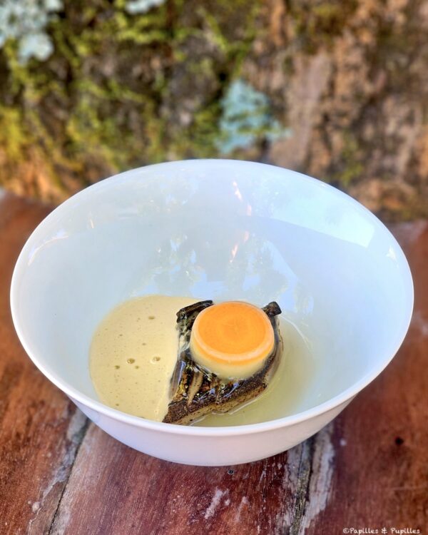 Esprit du maquereau vin blanc sauce moutarde à la sauternaise